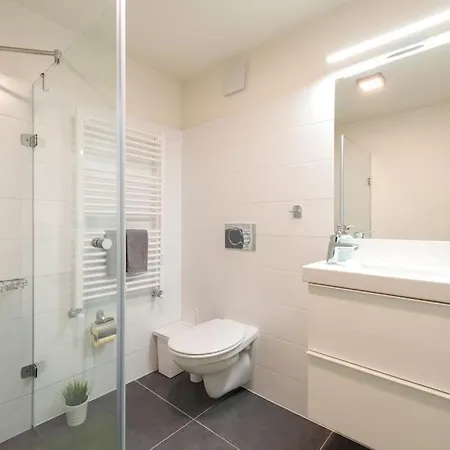 Luxury New-3bdr 3bth Sauna!city Center *